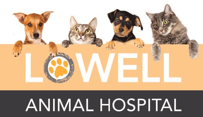 logomarca lowell animal hospital veterinario